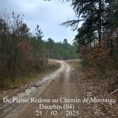 De Plaine Redone au Chemin de Montaigu