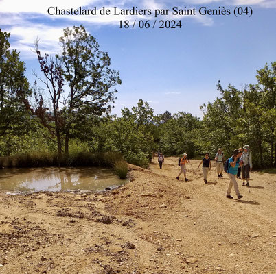 Chatelard de Lardiers par Saint Geniès
