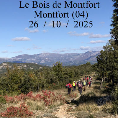 Dans le Bois de Montfort
