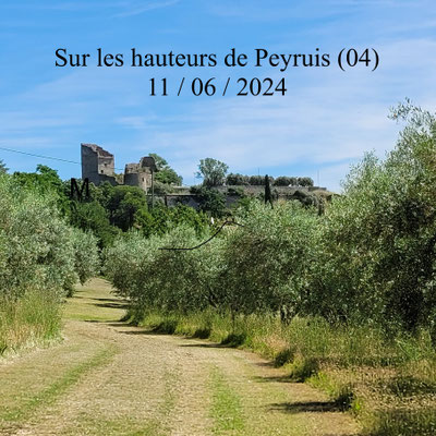 Sur les hauteurs de Peyruis