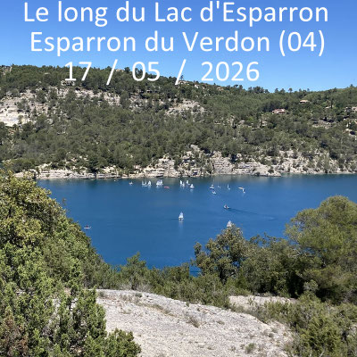 Le long du Lac d'Esparron