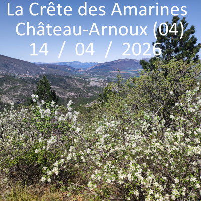 La Crête des Amarines à Château-Arnoux