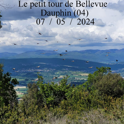Le Petit Tour de Bellevue