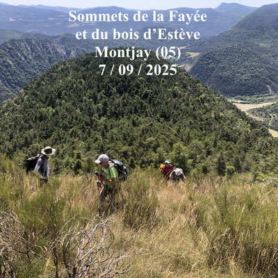 Sommets de la Fayée et du bois d'Estève