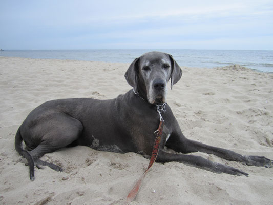 Ostesee 2010 - das erst Mal am Meer