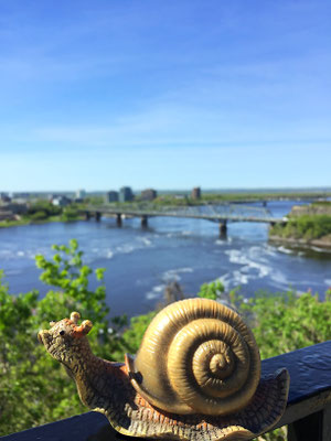 Vue sur gatineau et la rivière des Outaouais