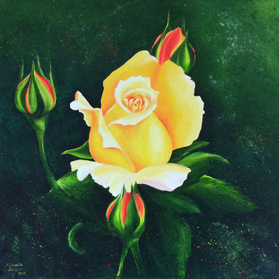 Rose in Gelb - Öl auf Leinwand - 40 x 40 cm