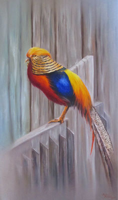 Gold-Fasan - Öl auf Leinwand - 30 x 50 cm