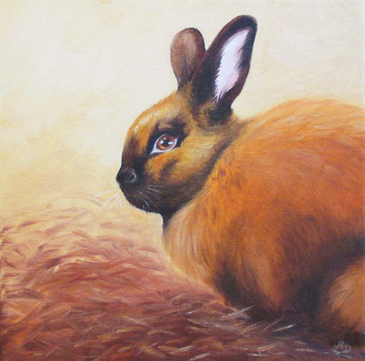 T 9 - Thüringer Kaninchen - Öl auf Leinwand - 20 x 20 cm