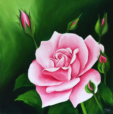 B 2 - Rose in Pink - Öl auf Leinwand - 40 x 40 cm