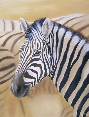 T 4 - Zebra - Öl auf Leinwand - 30 x 40 cm