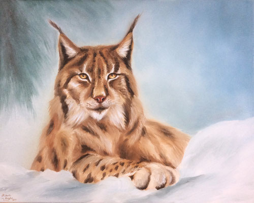 Luchs im Schnee - Öl auf Leinwand - 40 x 50 cm