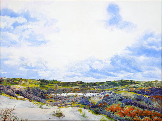 2019 "Dankbaar dat de aarde bestaat".  Duinen bij Wassenaar geschilderd door Marian van Zomeren- van Heesewijk met acrylverf op linnen 80 x 60 cm.