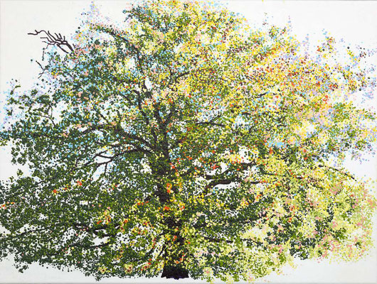 2017 "We zijn allemaal de bladeren van één boom", Geschilderd door Marian van Zomeren- van Heesewijk met acrylverf op linnen 60 x 80 cm.