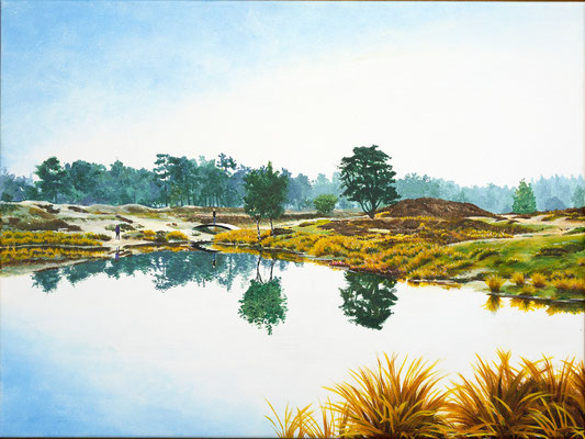 2016 Coming to your self, going back to the island in yourself.(Landscape near Doorn Utrecht) Painted by Marian van Zomeren- van Heesewijk with acrylic paint on linen 60 x 80 cm. 