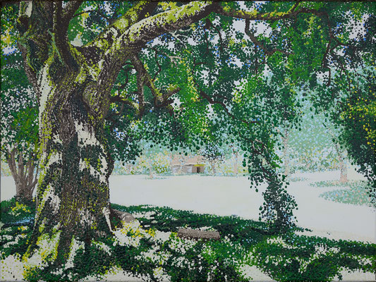 2017 "Pollarded tree". Painted by Marian van Zomeren- van Heesewijk with acrylic paint on linen 60x80 cm 