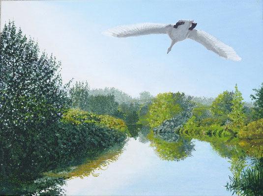 2024 "Reflectie"   Geschilderd door Marian van Zomeren- van Heesewijk met acrylverf op linnen 30 x 40 cm.