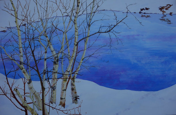 2012 "Quiet winterlandscape II"    Painted by Marian van Zomeren- van Heesewijk with acrylic paint on linen 80 x 120 cm.   