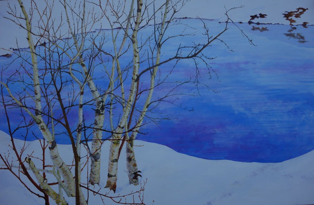 2012 "Quiet winterlandscape II"    Painted by Marian van Zomeren- van Heesewijk with acrylic paint on linen 80 x 120 cm.   