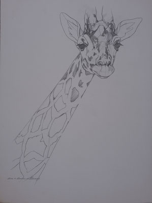 "Non-violent communication of marshal Rosenberg". Signed by Marian van Zomeren- van Heesewijk 60 x 80 cm.
