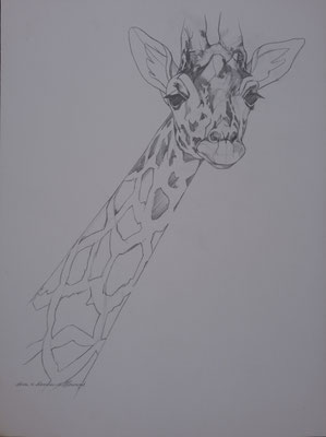 "Non-violent communication of Marshal Rosenberg". Signed by Marian van Zomeren- van Heesewijk 60 x 80 cm.
