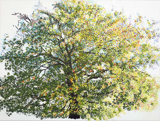 2017 "We are all the leaves of one tree. The time has come for all, to live as one". Citaat Thich Nhat Hanh Painted by Marian van Zomeren- van Heesewijk with acrylic-paint on linen 60x80 cm.
