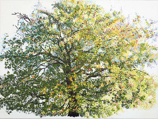2017 "We are all the leaves of one tree. The time has come for all, to live as one": Thich Nhat Hanh. Painted by Marian van Zomeren- van Heesewijk with acrylic-paint on linen 60x80 cm.