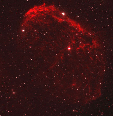 Crescentnebel NGC 6888 (70cm RC LSW Heidelberg) in Halpha (coloriert)