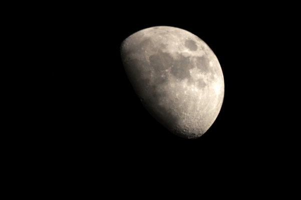 Mond bei schlechtem Seeing (254mm f/4 Newton)