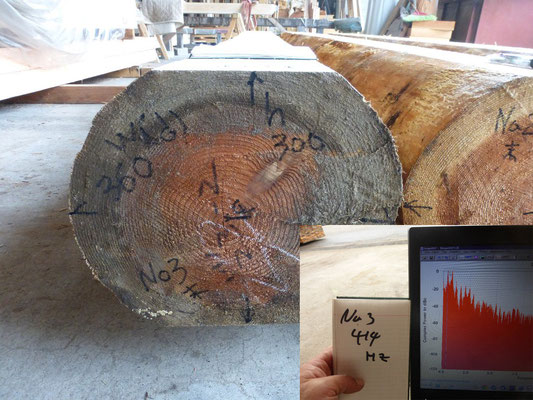 JAS製材規格外の極太！　太鼓引き丸太の縦ヤング係数を計測しています。