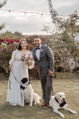 Boda petfriendly