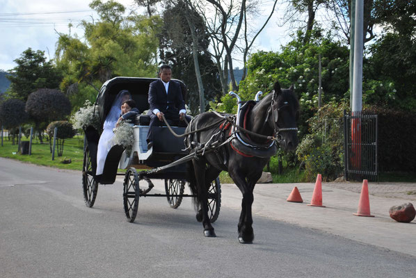 matrimonio en cajicá