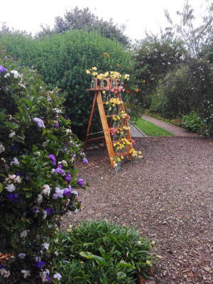 Matrimonio eventos Casa El Misterio Cajicá