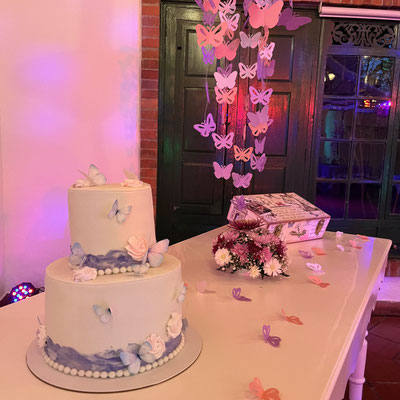 Decoración quince años mariposas