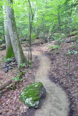 Finished trail, Lenox, MA, 2013 (Prime project contractor: Peter S. Jensen, LLC)