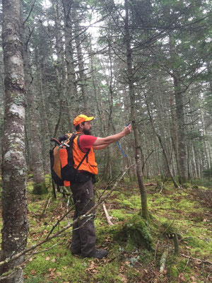 Jed hangs a flag during a trail design and layout project near Kokadjo, ME, 2014