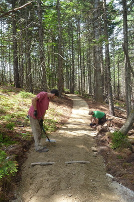 The edges are tediously and sensitively worked by hand by transplanting moss and vegetated mats