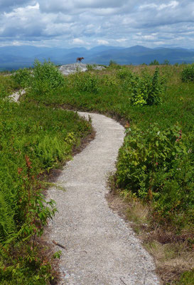 The serpentining summit trail