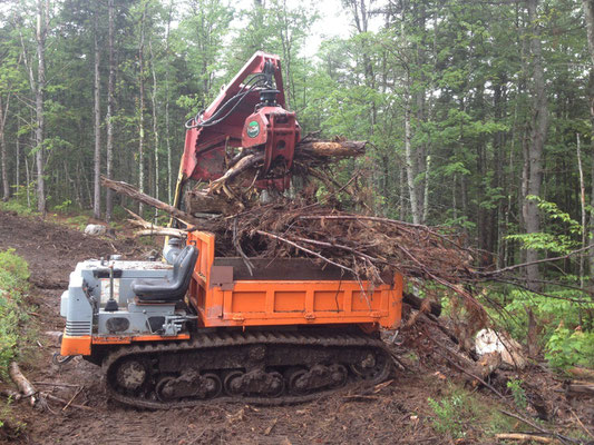 Slash from a previous logging job was removed from the trail corridor and used to restore impacted areas