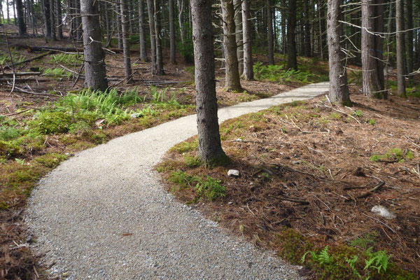 A section of trail after hand finishing