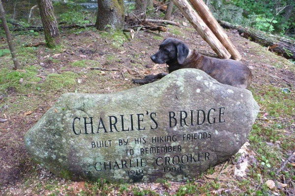 Cedar dog next to Charlie's rock