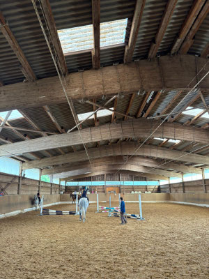 Reitkurs Teilbereich Springen