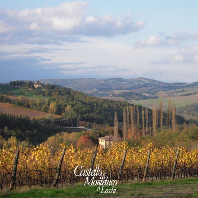 Scorcio del Chianti in Autunno • Glimpse of Chianti in Autumn