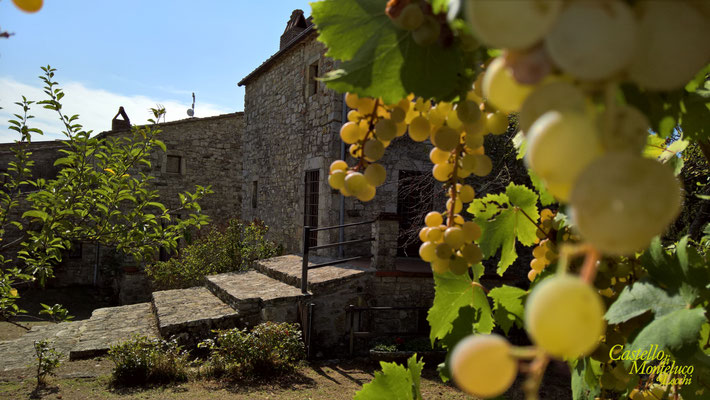 Il Nibbio dal giardino privato • Il nibbio from the private garden