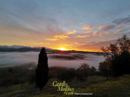 Sunrise at Monteluco by Susanna Cioni [Castello di Monteluco®]