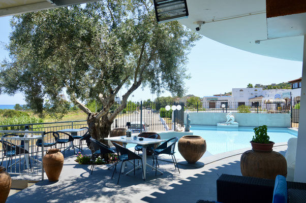 Blick von Terrasse auf den Pool