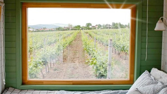 TINY-HOTEL im Weingarten "Blick aus Fenster"