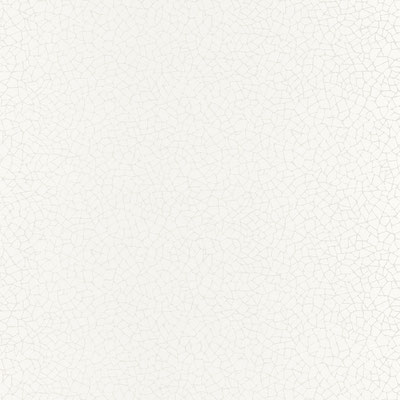 68590008
