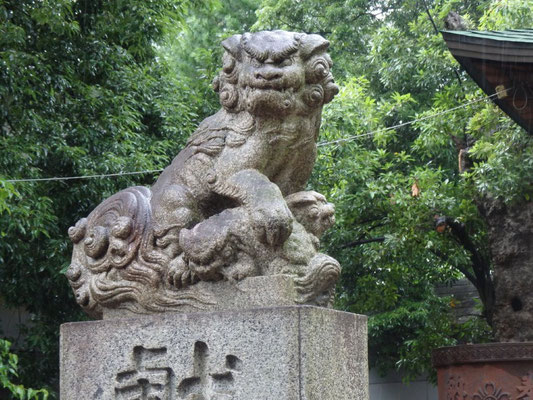 子を抱いた狛犬（氷川神社）