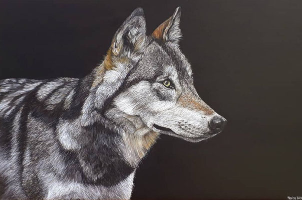 Acryl 2020 / Quelle: pixabay.com